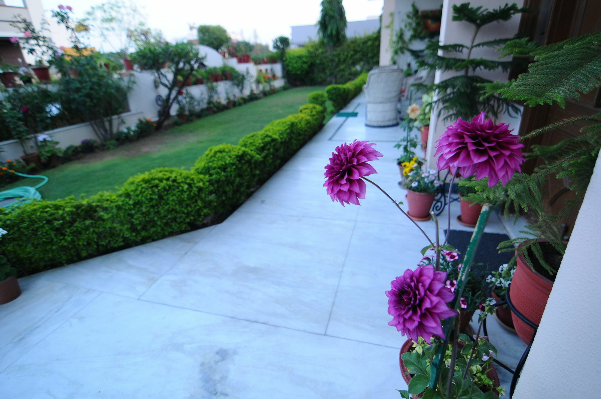 Jaipur Friendly Villa Εξωτερικό φωτογραφία
